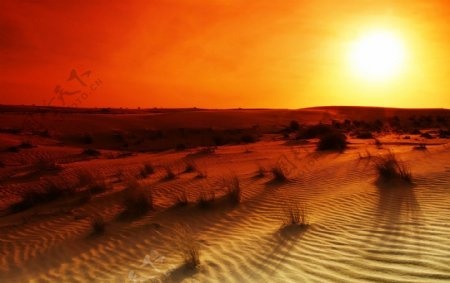 沙漠日落风景