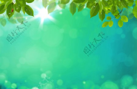 梦幻光斑绿叶背景图片