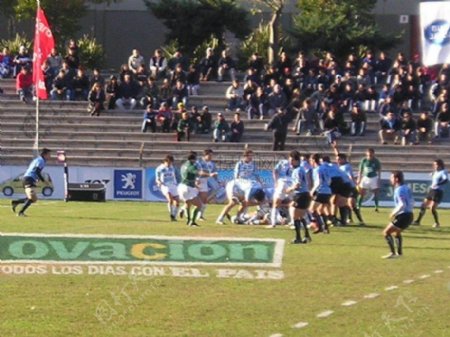 RugbyUruguayvsArgentina42.JP