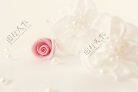 珍珠与鲜花背景图片