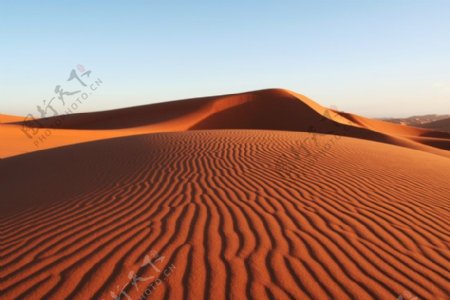 沙漠网站背景图片
