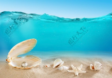 贝壳珍珠与海滩风景图片