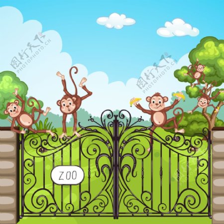 动物园铁门上调皮的猴子