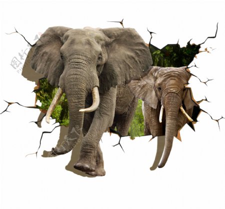 大象3D画背景墙