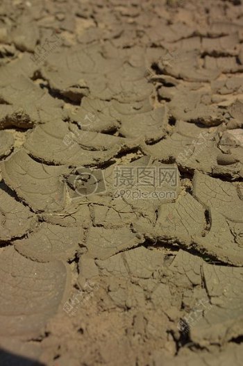 干旱裂缝的土