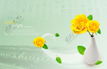 黄玫瑰花瓶平面设计