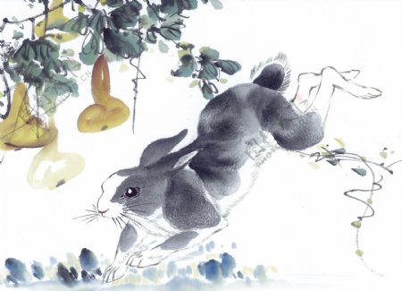 兔子写意动物画国画0073
