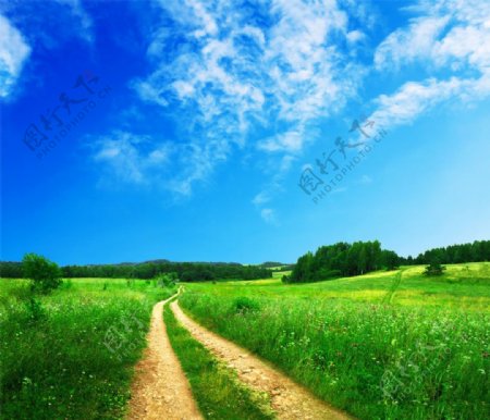 绿草地里的小路梦幻风景图片