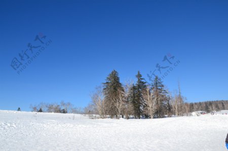 雪乡山顶图片