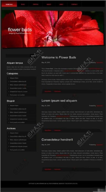 红色花蕾网页模板