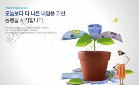 花盆绿植中的韩国钱币