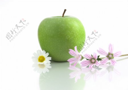 苹果与鲜花图片