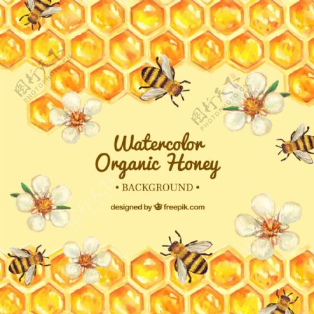 手绘蜂巢与花和蜜蜂的背景