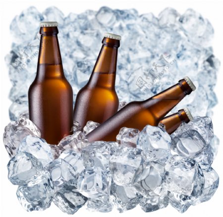 冰块与冰冻啤酒图片