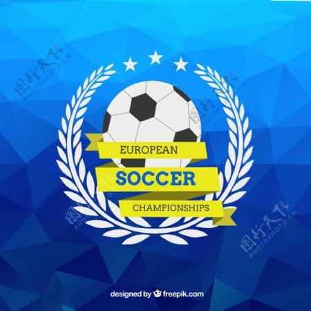 巴西足球徽章设计