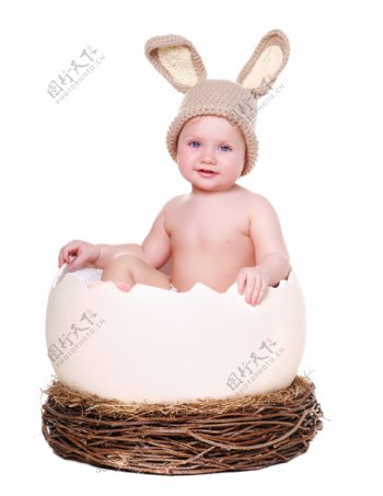 坐在蛋壳里的小宝贝图片