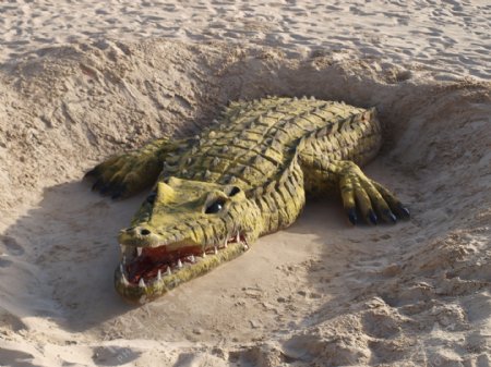 创意沙雕鳄鱼图片