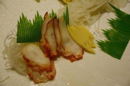 三文鱼图片