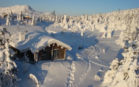 冰雪世界温馨小屋图片