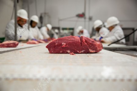 猪肉生产线