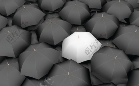 黑色雨伞与白色雨伞图片