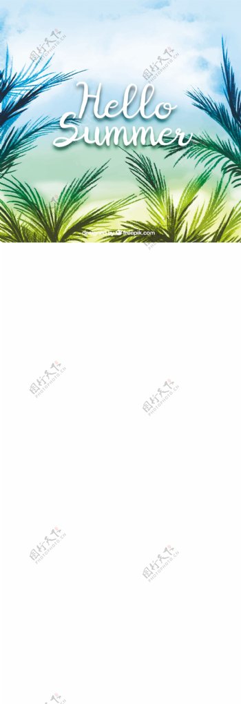 热带棕榈叶背景