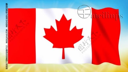 动态前景旗帜飘扬034加拿大国旗