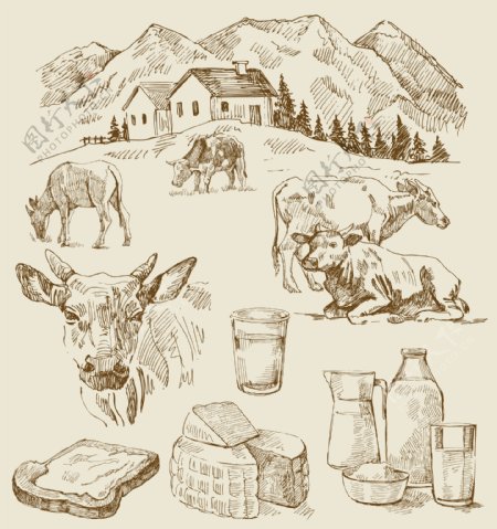 素描乡村的奶牛与面包矢量图形下载