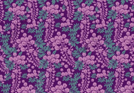 唯美紫藤花花卉背景素材