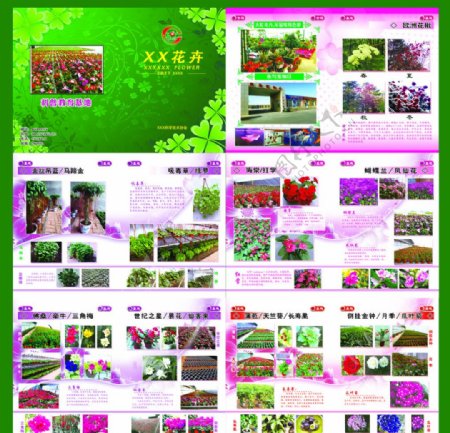 花卉市场花卉画册