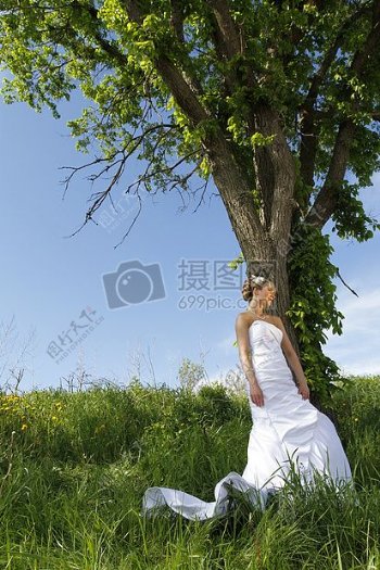 树荫下的新娘