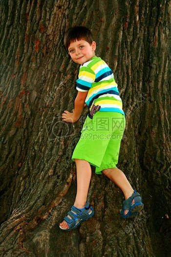 爬树的小男孩