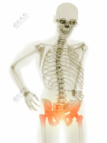 人体腰部X光图像图片
