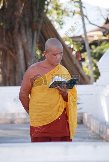 专心读书的僧侣