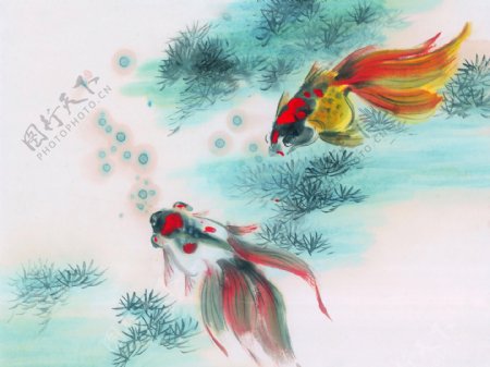 中国风水墨画鱼