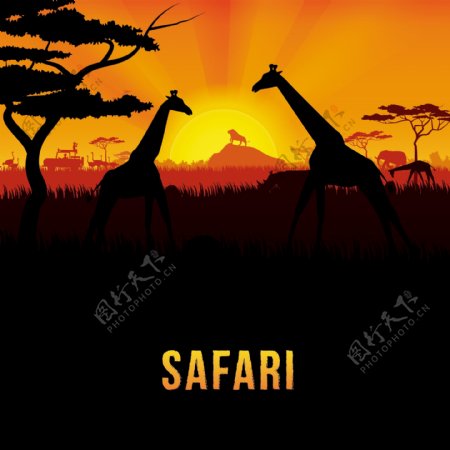 非洲野生动物长颈鹿背景矢量素材