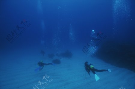 海底世界游泳潜水员素材共享大海海底