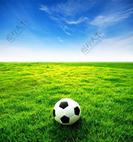 草地上的足球摄影