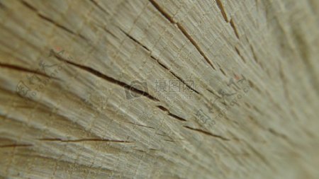 局部特写的木材