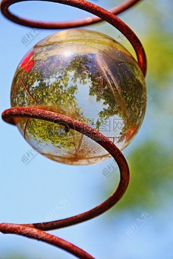 玻璃球体中的树木