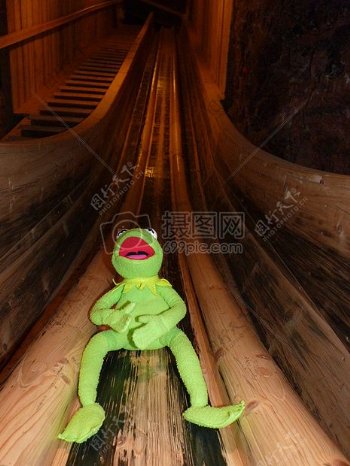 滑梯上的青蛙
