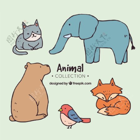 可爱动物手绘画