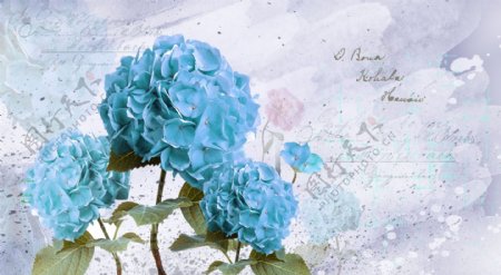蓝色绣球花朵手绘背景墙壁画装饰