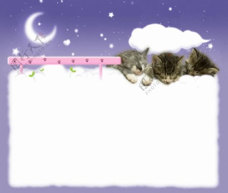 三只小猫月亮白云背景