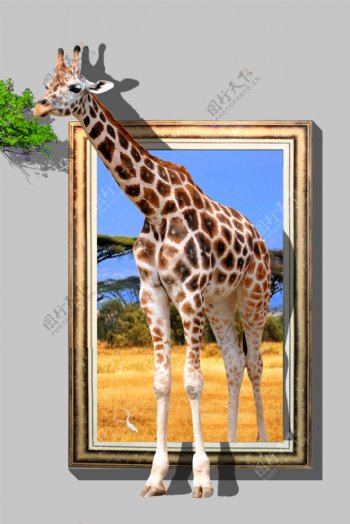 3D长颈鹿出框背景墙