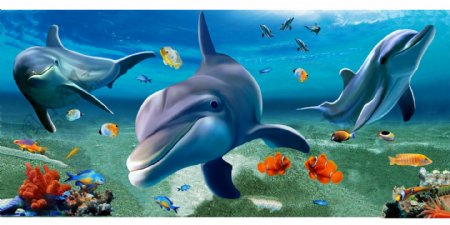 海底世界三只海豚
