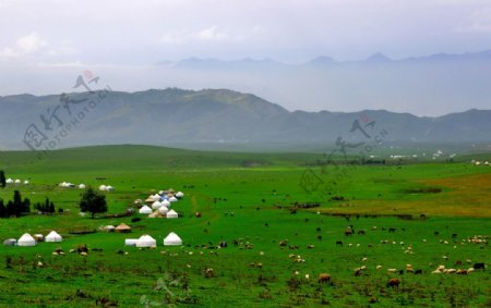 新疆北疆自然风光