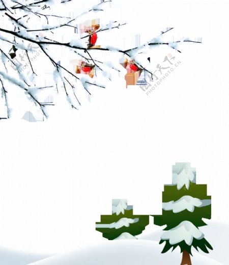冬季树枝积雪素材