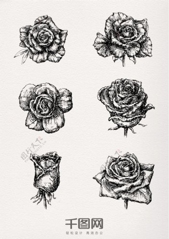 手绘素描立体玫瑰花