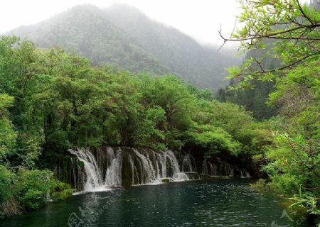 真正的青山绿水